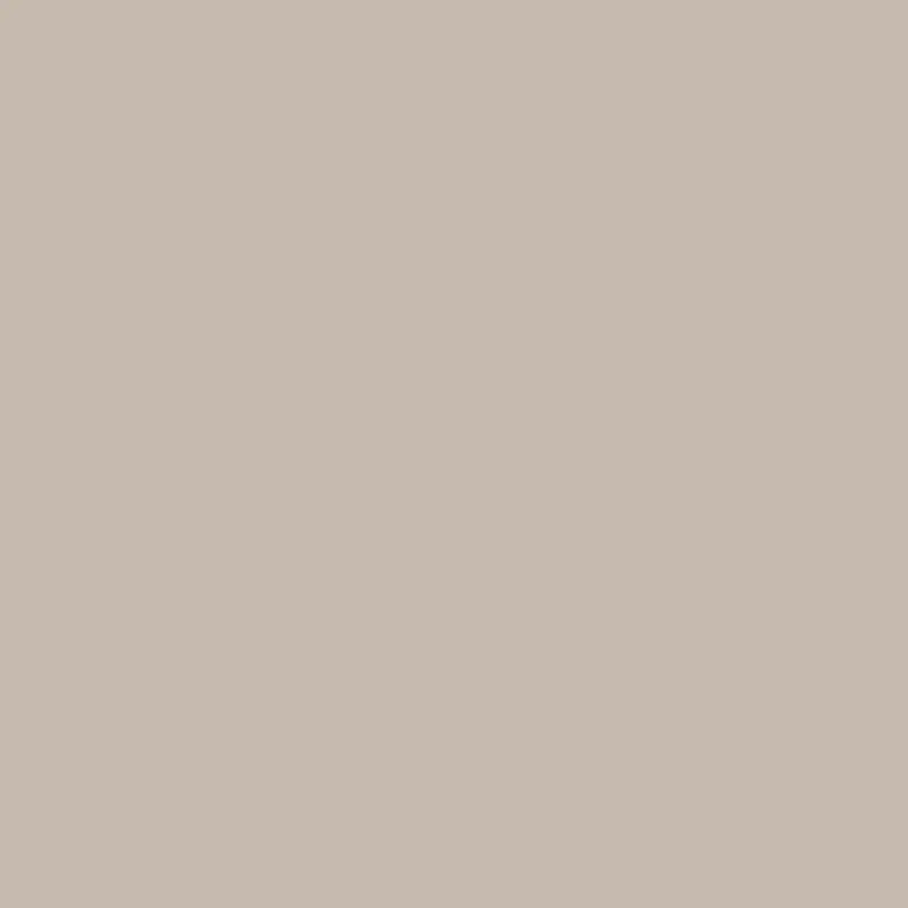 Fórmica Taupe PP1979 TX