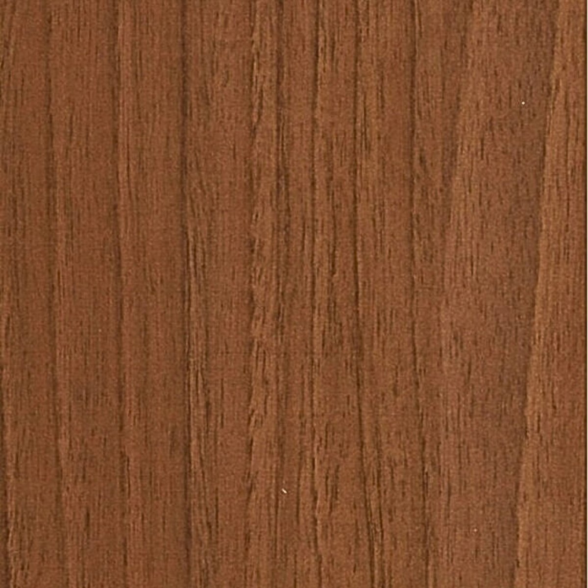 Fórmica PP1561 Noce Cenella SM