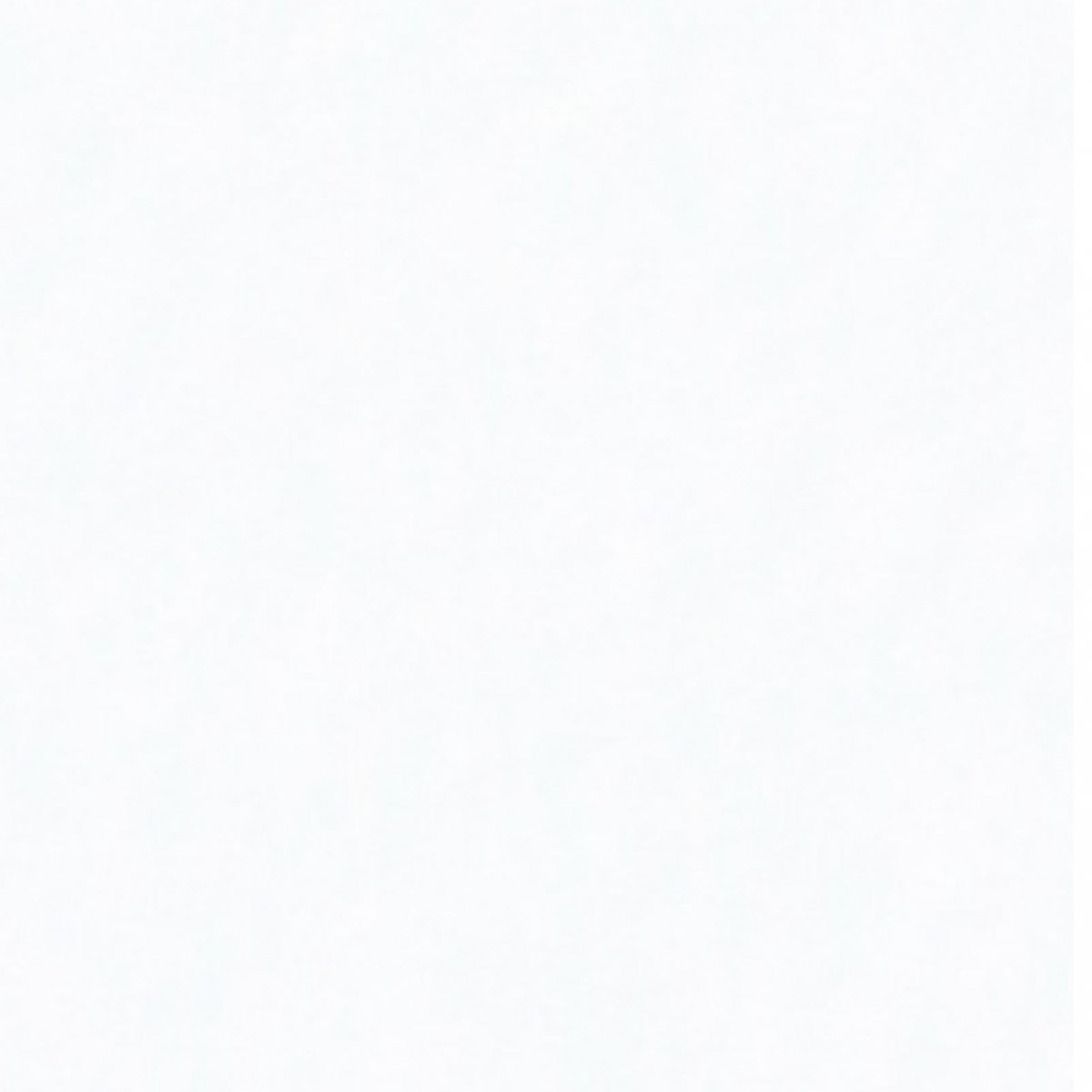 Fórmica PP2261 Bianco Puro VE